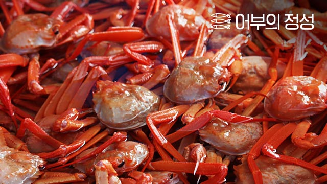 제철 홍게! 경북포항의 라면용 홍게포함 外 3종