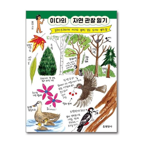 패션플러스 큰글자도서] 이다의 자연 관찰 일기 - 일러스트레이터 이다와 함께 걷는 도시의 열두 달