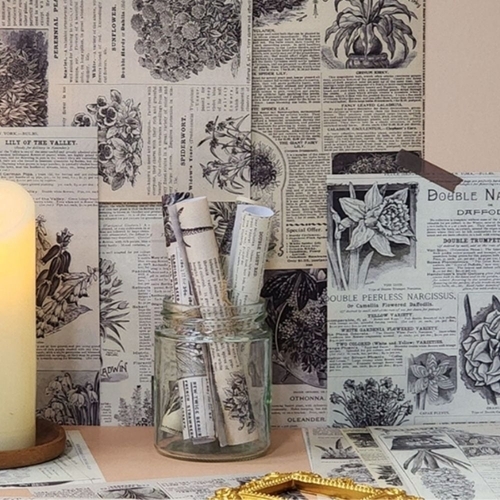 기타 빈티지종이 감성문구 촬영배경 초목 (KYR-WFHVHHK)