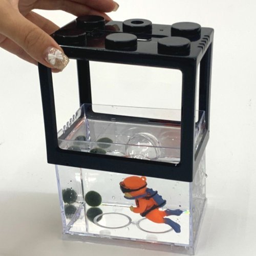 오너클랜 인기상품 마리모 기르기 미니 수조 블럭형 블랙 [WFJ8IJQ251030]