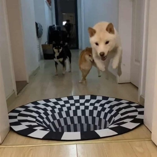 패션플러스 [제이앤엘글로벌탑스] 착시매트(1실속00cm) 강아지이벤트 트릭아트매트 (43689155)