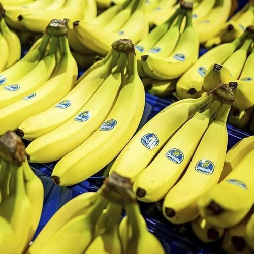 셀러허브 식품 남미 고산지 바나나 10송이 13kg내외 치키타 바나나 에콰도르바나나 과테말라바나나 고당도바나나 생바나나