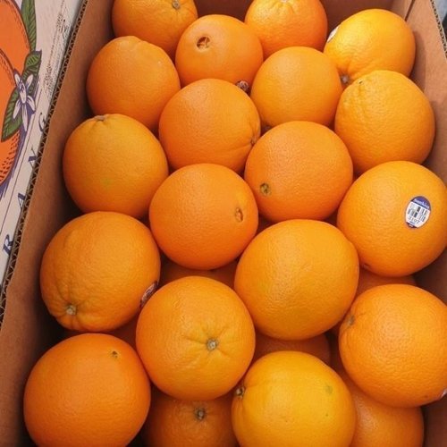 셀러허브 식품 블랙라벨 달콤한 고당도 오렌지 중대과 17kg (13748508A)