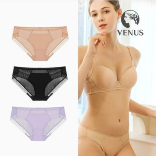 [비너스][비너스] 균일가세일)이하늬광고 )뉴 메모리 몰드 심플베이직 세트 백레이스 팬티VPT0961A