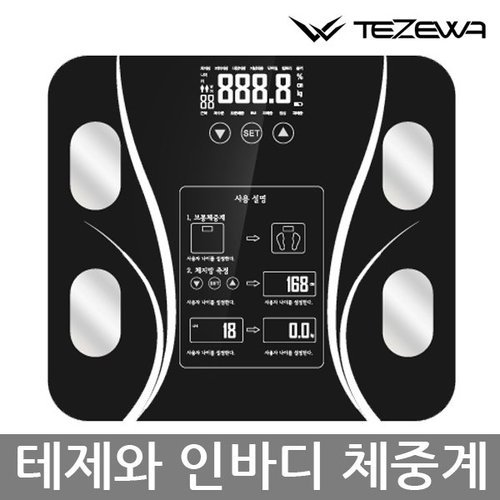 기타 테제와 인바디 체지방 체중계 (건전지포함)