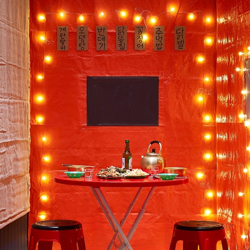 노바리빙 인테리어 타포린 홈포차 단품:중 1.5mx2m