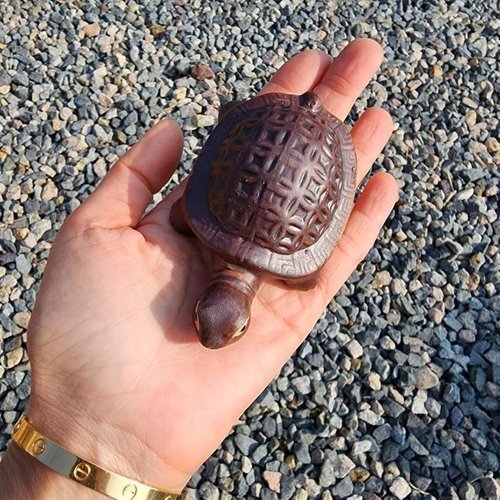 셀러허브 패션 [JHM40469_51AJ]생기 거북이 풍수 개업 이사 선물 수맥 1p