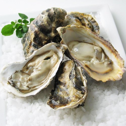 산해직송협력사 산해직송 통영 거제 석화 각굴 6kg