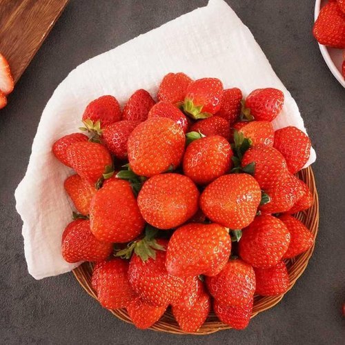 셀러허브 식품 [식품의품격] GAP산청 설향 딸기 1kg 상품