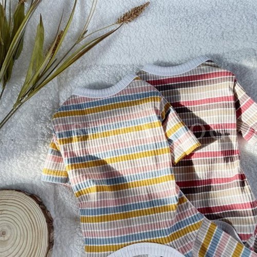 셀러허브 1 [OFM75228]강아지 줄무늬 올인원 2XL 1P 봄가을 외출복