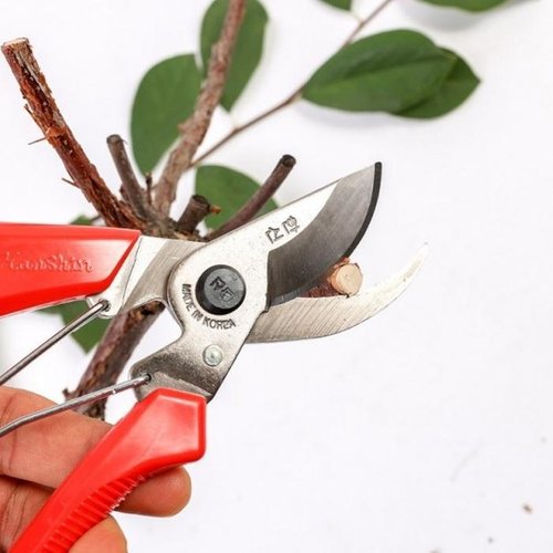 셀러허브 1 작업용가위 전지가위 함석가위 나무가위 양파가위 과수원가위 한신 원예가위 모음a 다목적가위
