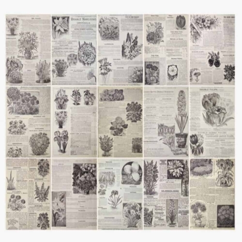 기타 카페인테리어소품 빈티지오브제 배경지 초목 (KYR-WFKGTGD)