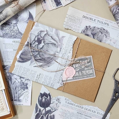 기타 초목 페이퍼 다꾸배경지 컬러배경지 다꾸용품 (KYR-WFFTTKV)