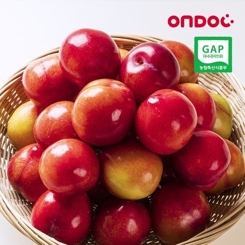 하강농장 온도씨 GAP인증 김천 대석자두(왕특) 2.5kg