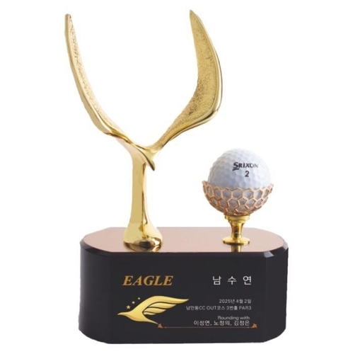 셀러허브 생활리빙 SD-25-3 골프트로피 대회트로피 트로피제작 기념트로피 홀인원패 이글패 싱글패 (42507839)