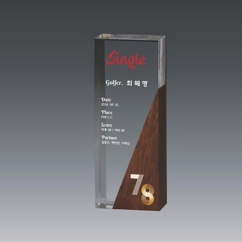 셀러허브 생활리빙 SP9-246-004 골프트로피 대회트로피 트로피제작 기념트로피 홀인원패 이글패 싱글패 (45794419)