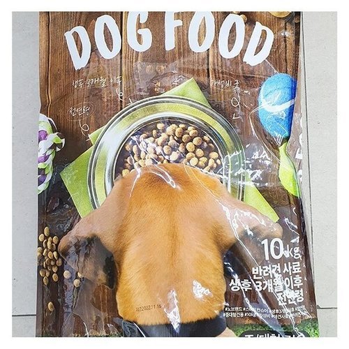 셀러허브 식품 도그 푸드 반려견 사료 (성견용) 10kg x 1개 75971
